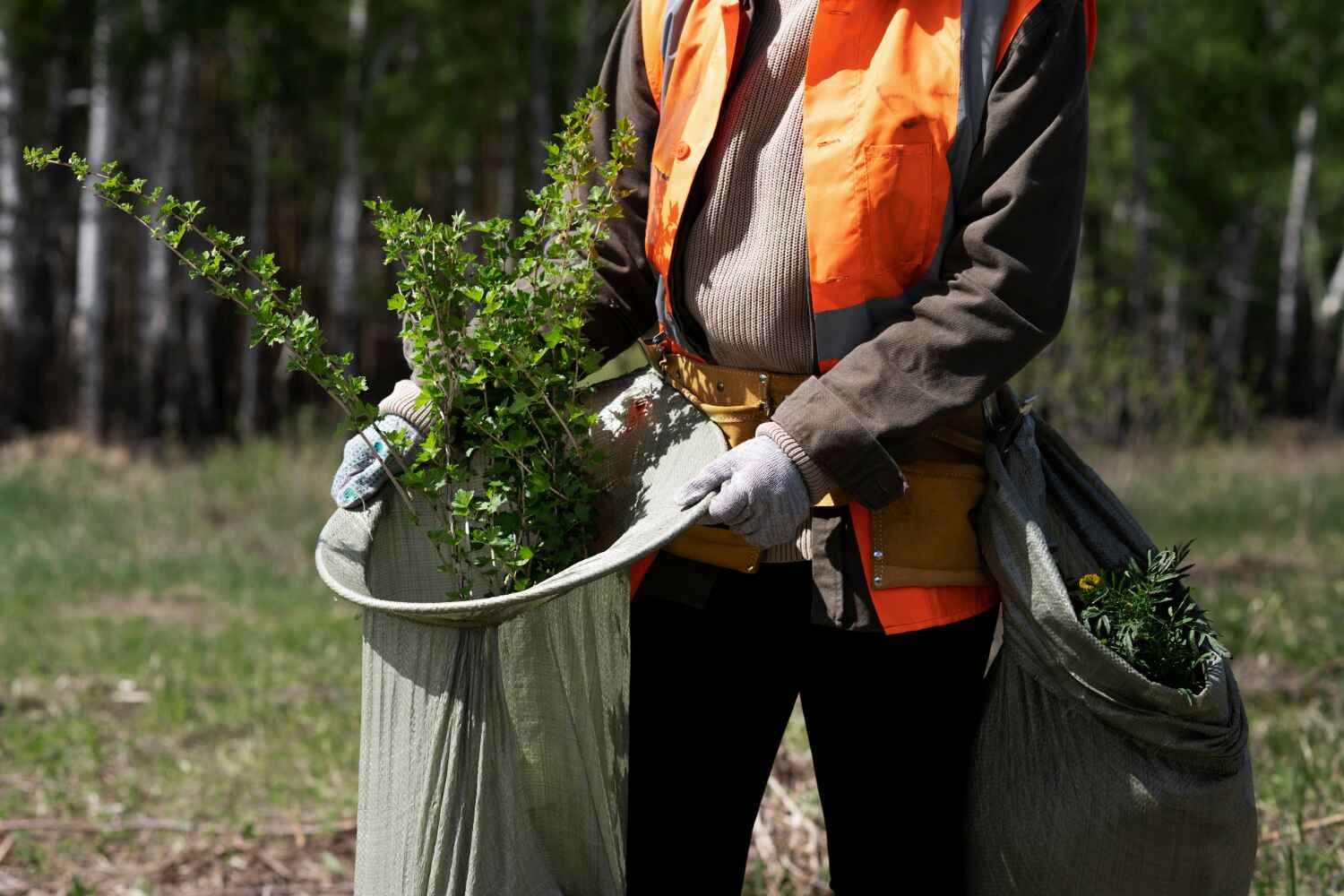 Best Residential Tree Removal  in Tryon, NC